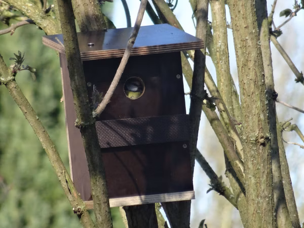 Birdhouse by Horn & Stricker